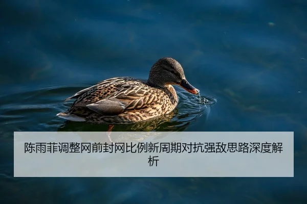 陈雨菲调整网前封网比例新周期对抗强敌思路深度解析